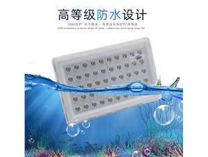見過會游泳的投光燈嗎？---思拓達(dá)光電