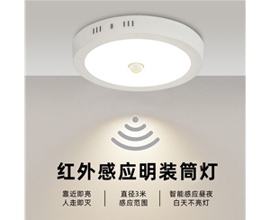 智能感應(yīng)明裝筒燈