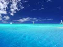 讓客戶接受“高價(jià)格”的實(shí)用技巧!