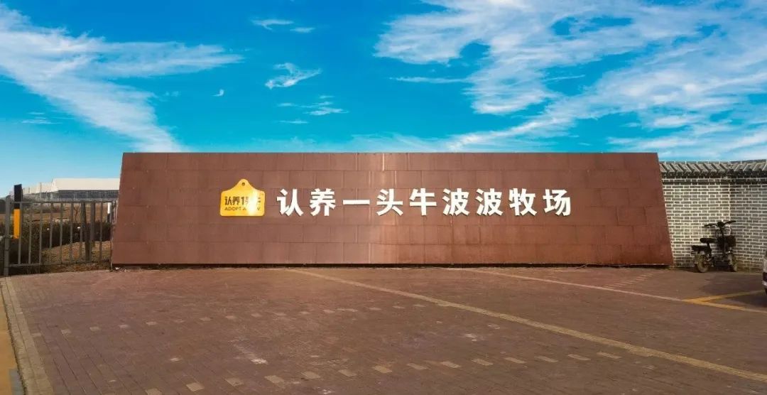 思嘉特走进《认养一头牛》旗下牧场积极推进项目合作！